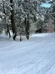 Vintage Adk Cabin- Great Deal, Perfect Location, Book Your Gore Mtn. Trip Today! - Alppimaja