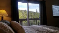 Colorado Mountain Retreat - Spacious Cabin - Chalets