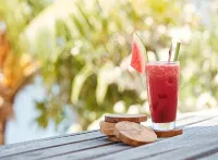 The Lombok Lodge Suites & Private Villas - bar