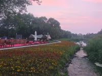 Shenquan Wellness Resort Hotel - Gym