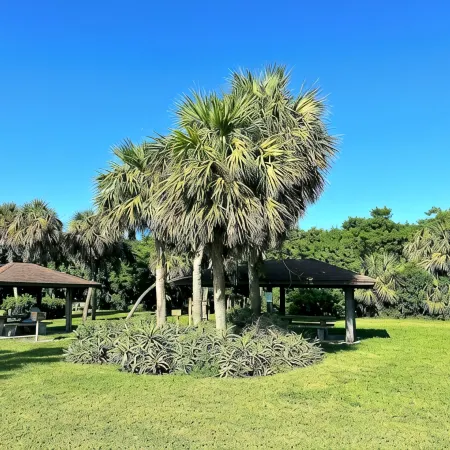 SOUTH BEACH & PARK at your Doorstep • DOLPHIN COTTAGE • Comfy Fun Vero Beach