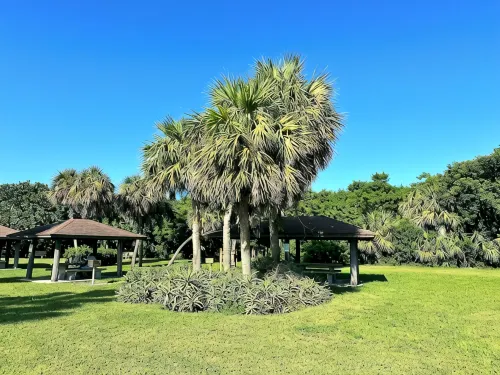 SOUTH BEACH & PARK at your Doorstep • DOLPHIN COTTAGE • Comfy Fun Vero Beach - Beach