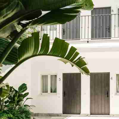 Astuto 21 Suites - Adults Only Others