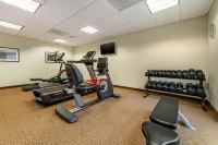 Sleep Inn & Suites Devils Lake - palestra