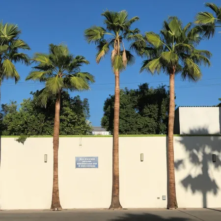 Hotel las Palmas