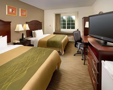 Comfort Inn & Suites Airport Dulles-Gateway