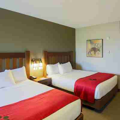 Great Wolf Lodge Chicago/Gurnee Rooms