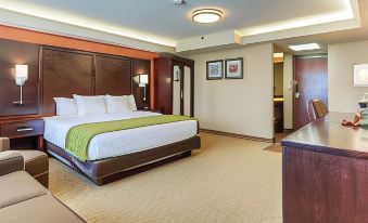 Comfort Inn & Suites Evansville Airport