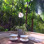 Malunggay Apartments Hotel di Mariveles