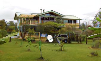 Fern Forest Getaway