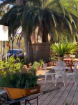 Burwood Bed and Breakfast Hotel a Campsie