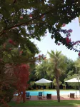 B&B Villa Delle Palme Hotels in Medolla