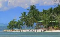 Bocas Beachfront Lodge Hotels in Isla Carenero