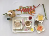 Phumchan Place Hotel