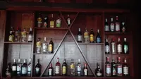 温室度假酒店 - 酒吧