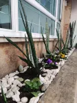 HOTEL MONTEFIORE Hotels in Bogota