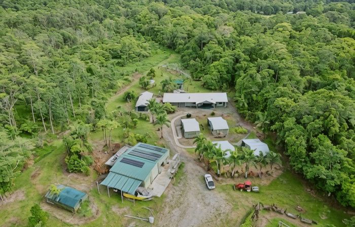 Daintree Peaks Eco Stays