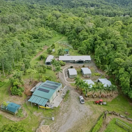 Daintree Peaks Eco Stays
