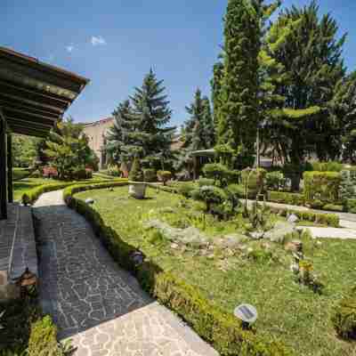 Villa Venus Hotel Exterior