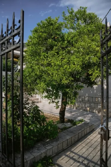 Betty's 4 Seasons in Agria