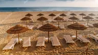 Paradise Suites