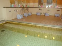 Hotel la Montagne Furuhata - suối nước nóng