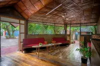 棕櫚林生態度假村