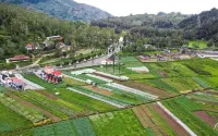 Dieng Luxury Camp By Travelink - Lodges