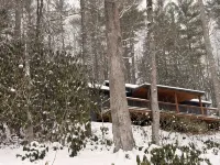 The Rainforest Hideout - Homestays