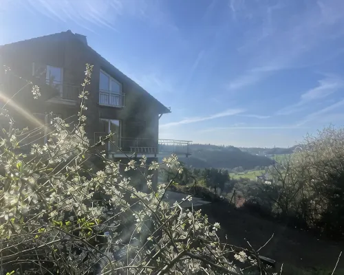 Traumaussicht, Traumwanderungen, Viel zu Entdecken und Richtig Viel Platz!! Hotels in Daun