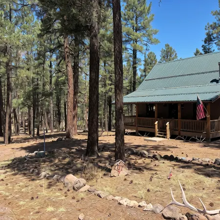 Come Get Cozy in The Coues Cabin