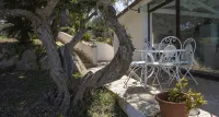 La Terrazza Sulle Egadi - Pensions