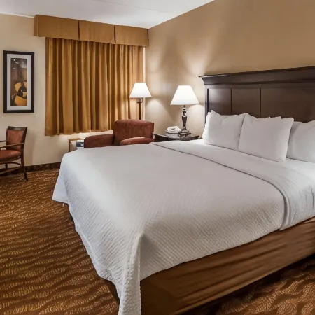 Best Western Music Capital Inn