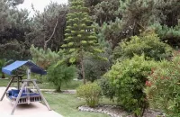 Villa with Books, Sun, Swing Bed, Private Pool And A Spacious Garden To Enjoy