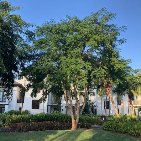 Exquisite Four Seasons PR Bahia Beach Villa; Beach, Pool, Tennis & Golf Cart