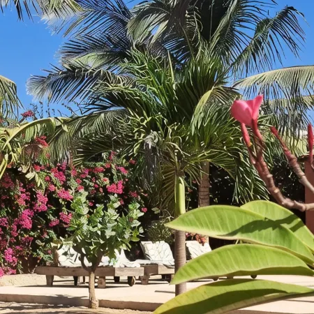 Villa Pieds Dans L'eau Avec vue Exceptionnelle sur L'océan et Piscine Privée