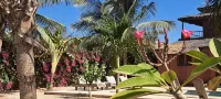 Villa Pieds Dans L'eau Avec vue Exceptionnelle sur L'océan et Piscine Privée - Villas