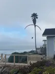 StarLitSands - Comfortable 2-bed house in Cayucos, view of Morro Rock and Ocean