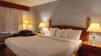 Metro Inn