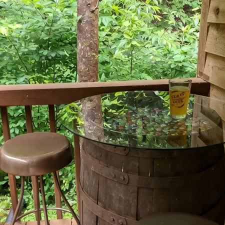 Creek-side cottage in secluded mountain setting, centrally located, easy access.