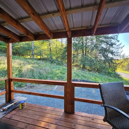 Sleeps 10 home in Thomas. Walk to Purple Fiddle. Close to Davis and Canaan