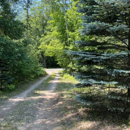 Log cabin, walking distance from Funistrada, LaBecasse, Laker Shakes & Glen Lake