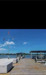 Near it all OC beaches,Assateague island.Family-friendly white horse park