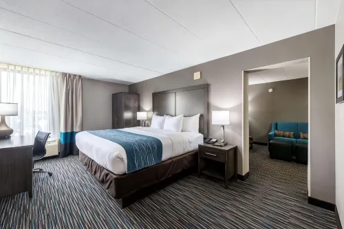 Comfort Inn Chicago Schaumburg - O'Hare Airport