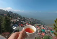 Udaan Dekeling Resort, Darjeeling - Mountain view