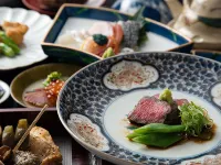 Amano-Hashidate Yusai