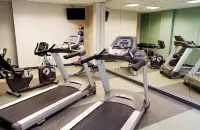 Holiday Inn Express & Suites GREENVILLE-DOWNTOWN by IHG - Gym