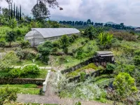 Mahesa 5 W/ Pool, Garden & Mini Zoo Hotels in Bumiaji