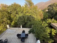 Hotel Green Heaven Resort