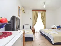 Villa Pedja Zec Hotels in Budva
